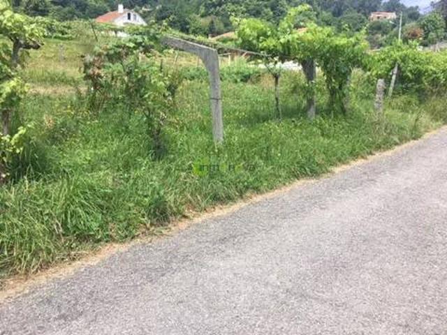 Terreno en Venta en Mos
