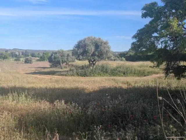 Terreno en Venta en Morata de Tajuña
