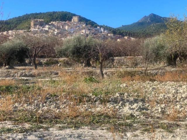 Terreno en Venta en Moratalla