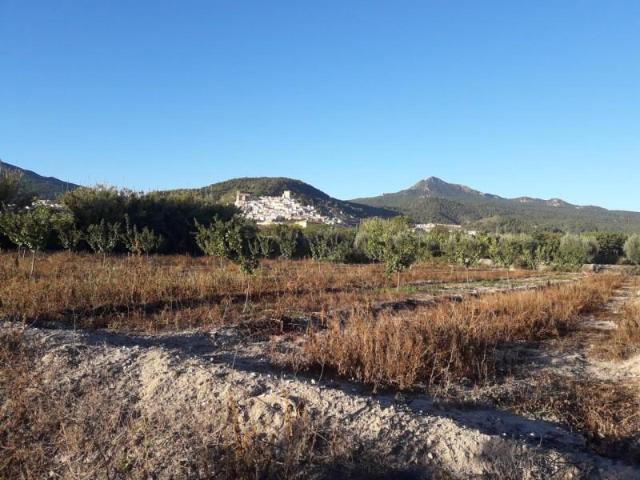 Terreno en venta en Moratalla
