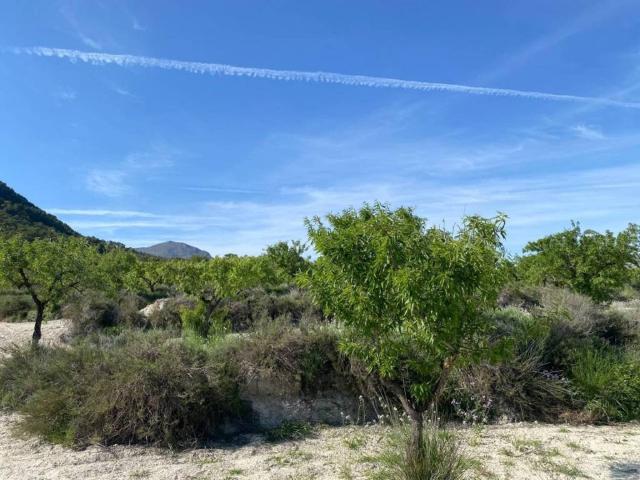 Terreno en Venta en Moratalla