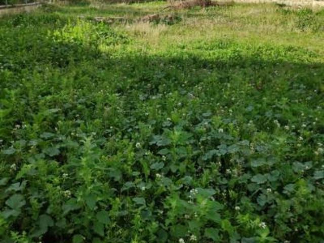 Terreno en venta en Moratalla