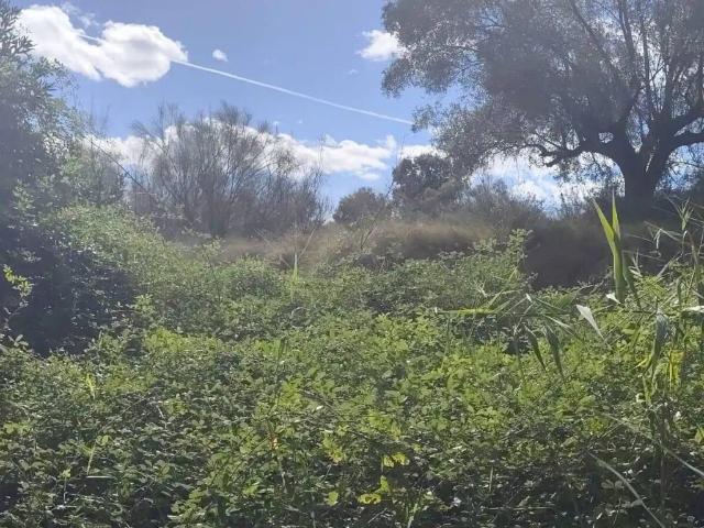 Terreno en Venta en Moratalla