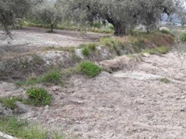 Terreno en venta en Moratalla