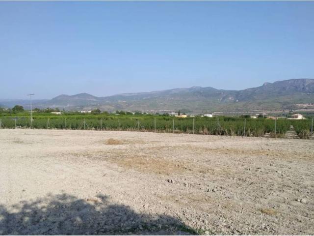 Terreno en Venta en Moratalla
