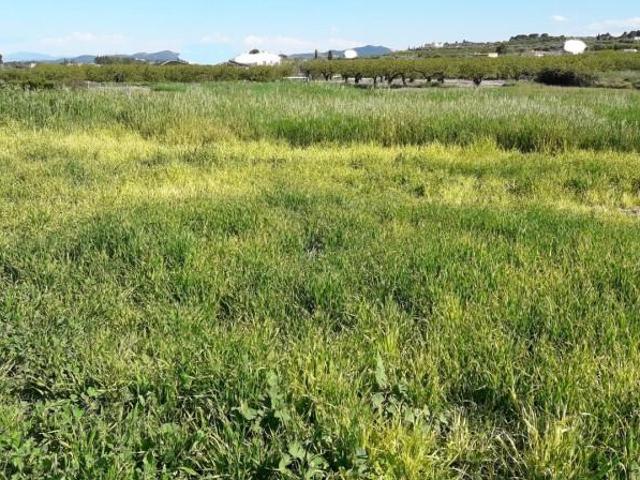 Terreno en venta en Moratalla