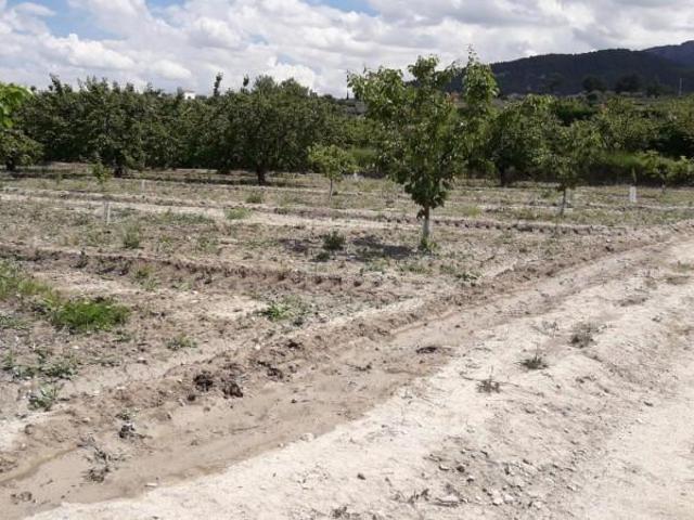 Terreno en venta en Moratalla