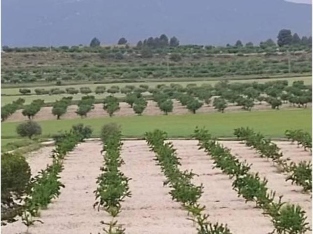 Terreno en Venta en Moratalla