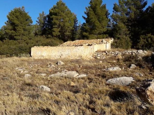 Terreno en venta en Moratalla