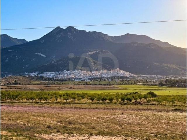 Terreno en Venta en Moratalla
