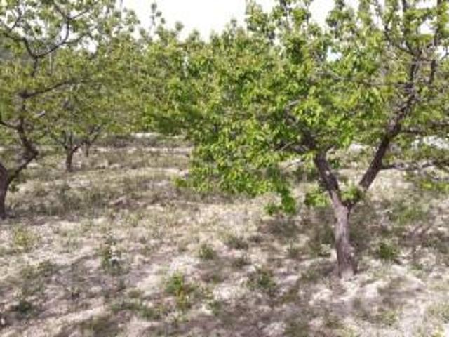 Terreno en venta en Moratalla