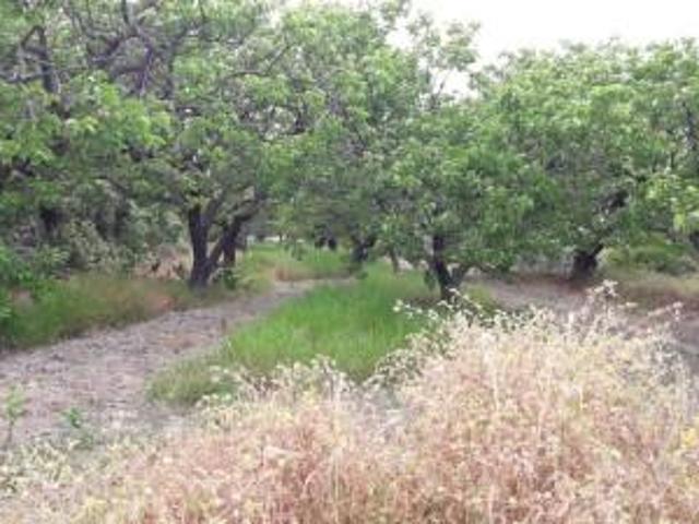 Terreno en venta en Moratalla