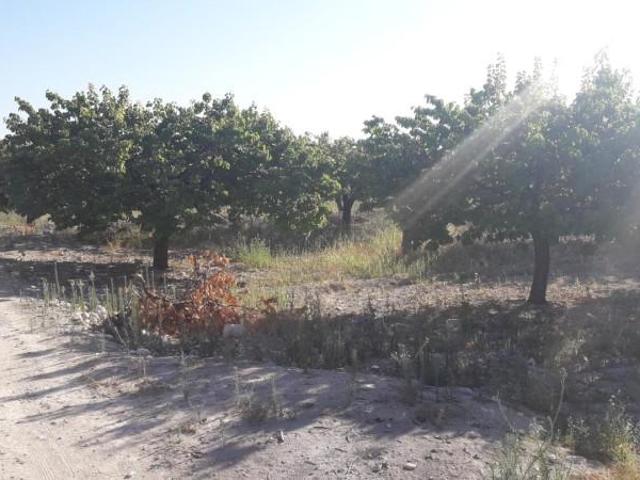 Terreno en venta en Moratalla