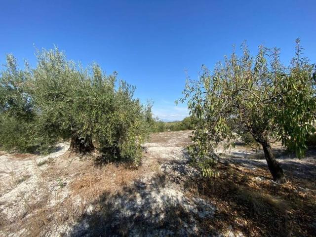 Terreno en Venta en Moratalla