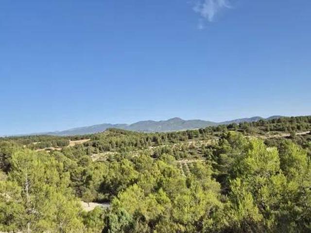 Terreno en Venta en Moratalla