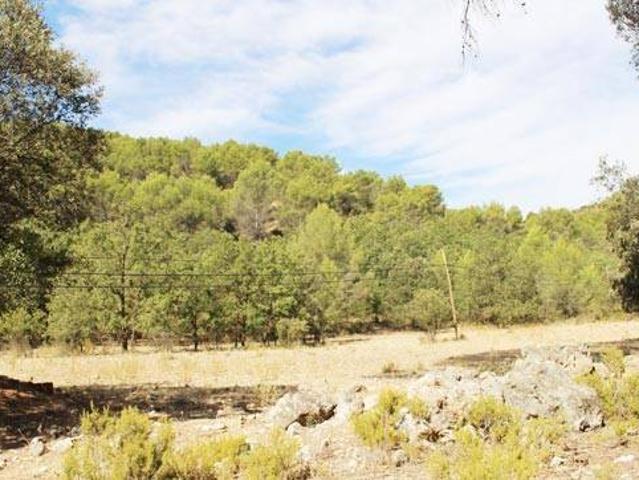 Terreno en Venta en Moratilla de los Meleros