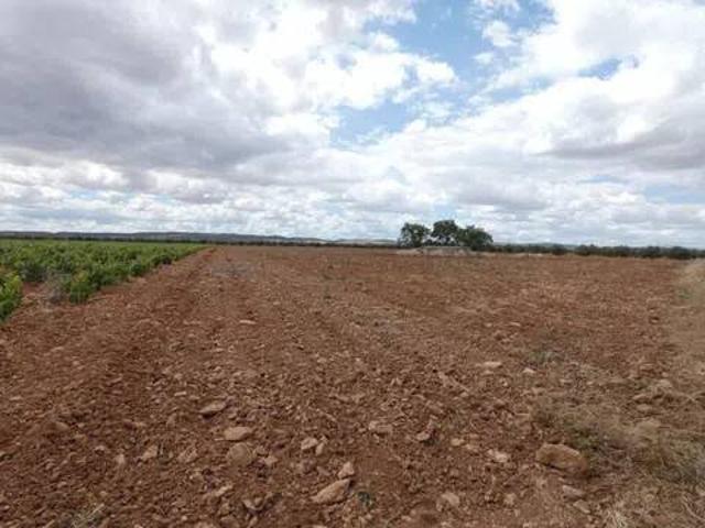 Terreno en Venta en Moral de Calatrava