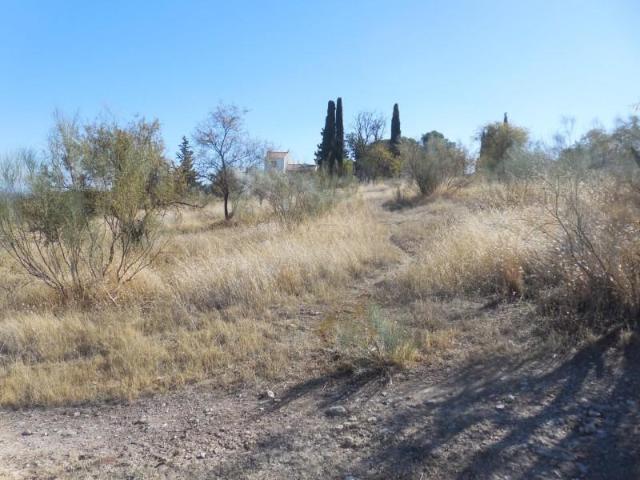 Terreno en venta en Moraleda de Zafayona, Andalucia