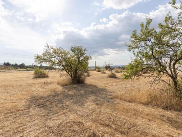 Terreno en venta en Moraleda de Zafayona, Andalucia