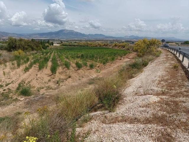 Terreno en Venta en Moraleda de Zafayona