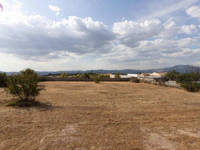 Terreno en Venta en Moraleda de Zafayona