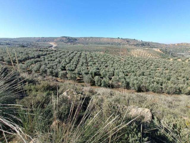 Terreno en Venta en Moraleda de Zafayona