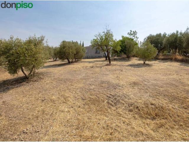 Terreno en Venta en Moraleda de Zafayona