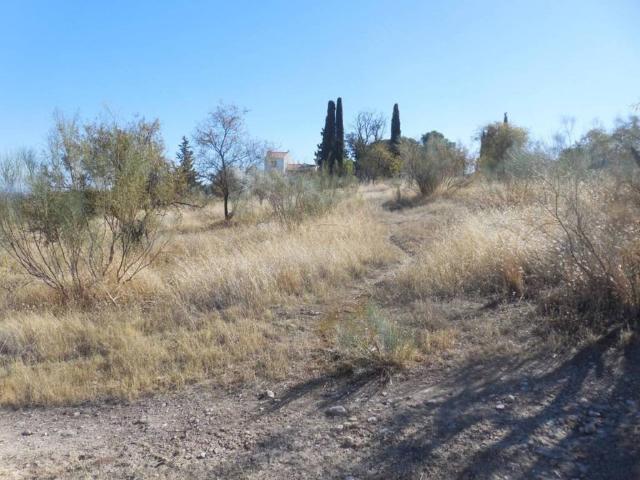 Terreno en Venta en Moraleda de Zafayona