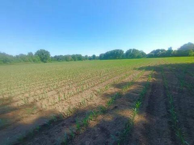 Terreno en Venta en Moraleja