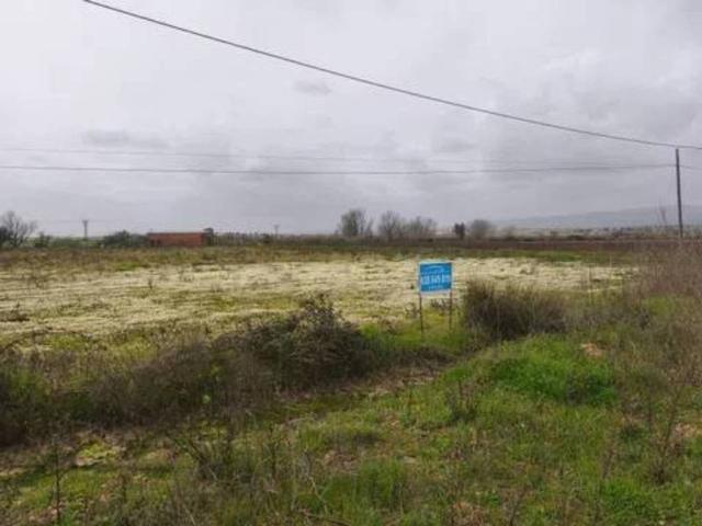 Terreno en Venta en Moraleja