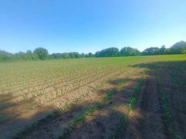 Terreno en Venta en Moraleja