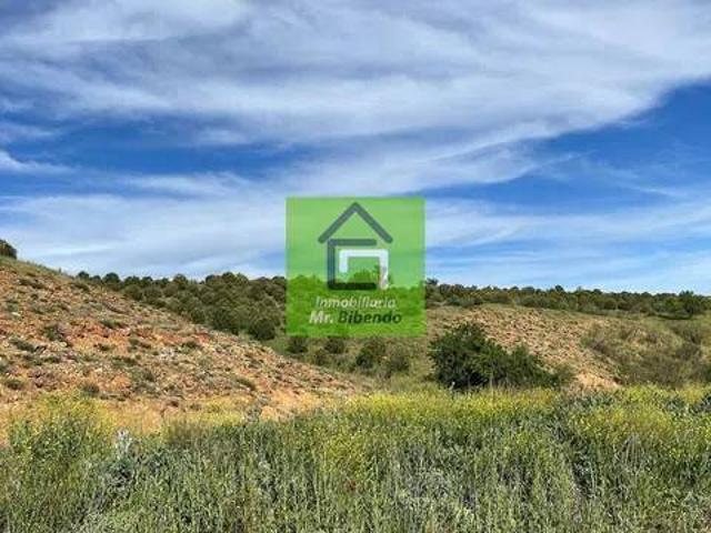 Terreno en Venta en Morales de Toro