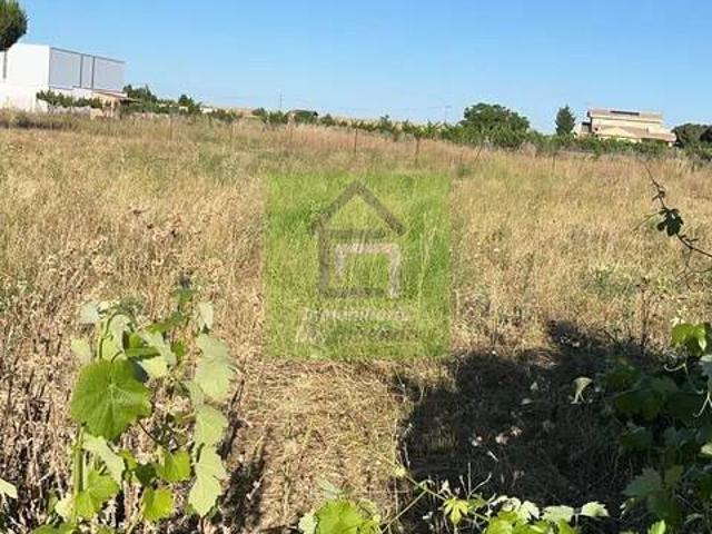 Terreno en Venta en Morales del Vino