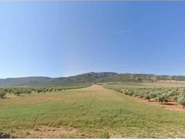 Terreno en Venta en Morelábor