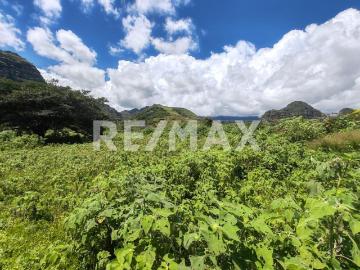 Terreno en Venta en Morelos, Tlayacapan