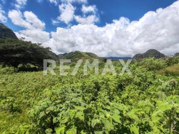 Terreno en Venta en Morelos, Tlayacapan