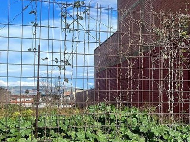Terreno en venta en calle Verge de Montserrat, Morell, El, de 309 m² por 89.700