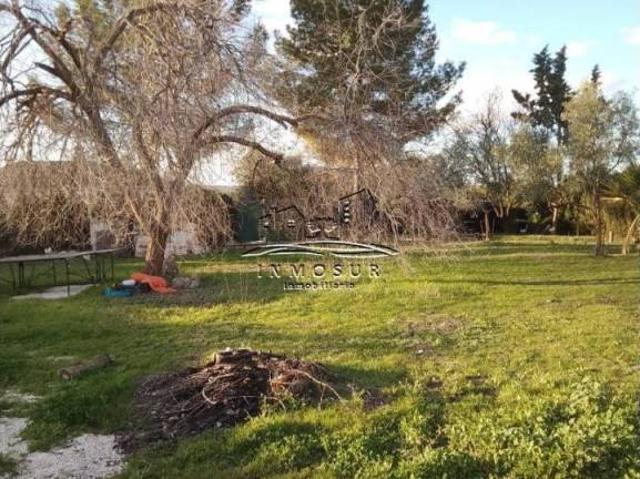 Terreno en Venta en Moriles