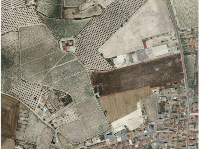 Terreno en Venta en Moriles