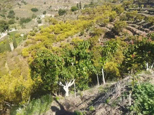 Terreno en Venta en Motril