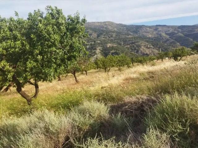 Terreno en Venta en Motril