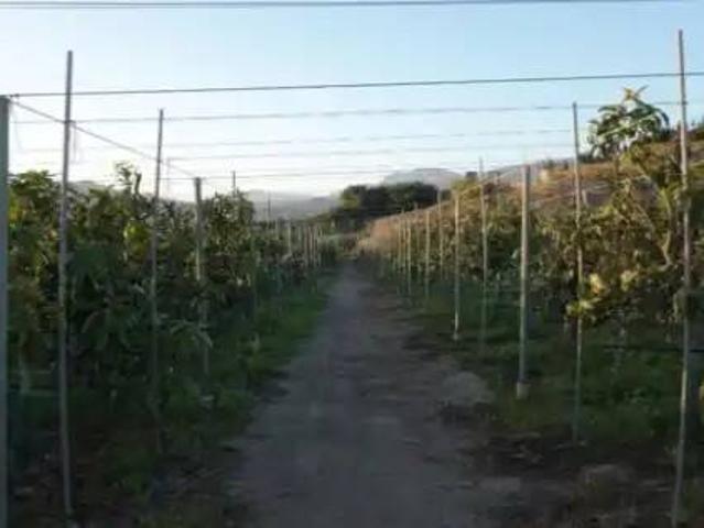Terreno en Venta en Motril