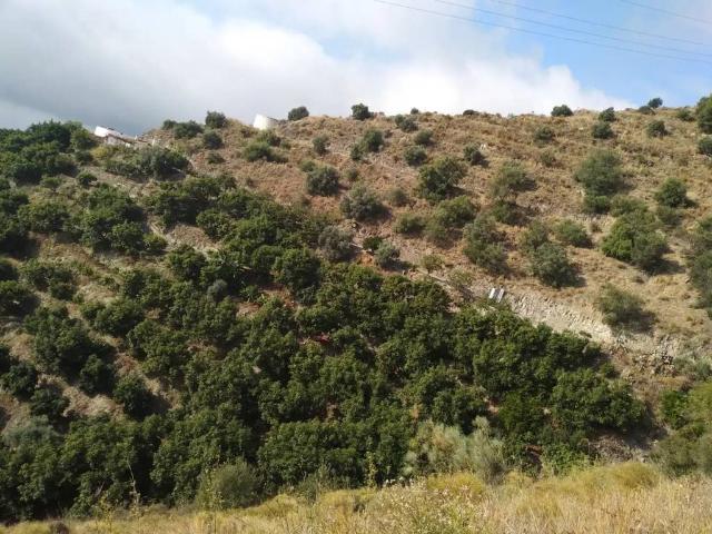 Terreno en Venta en Motril