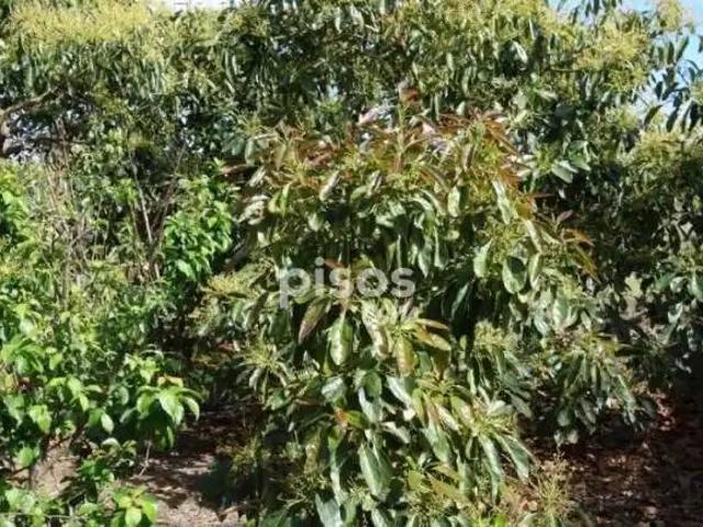 Terreno en Venta en Motril