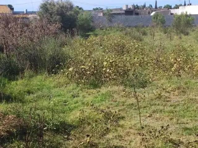 Terreno en Venta en Motril