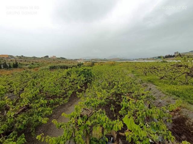 Terreno en Venta en Motril