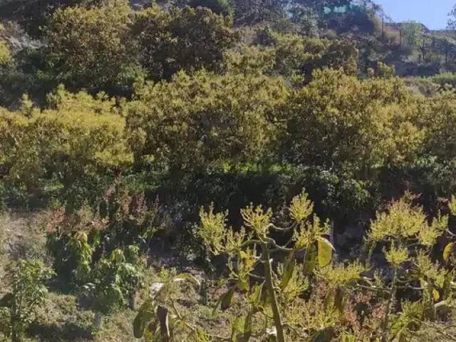 Terreno en Venta en Motril