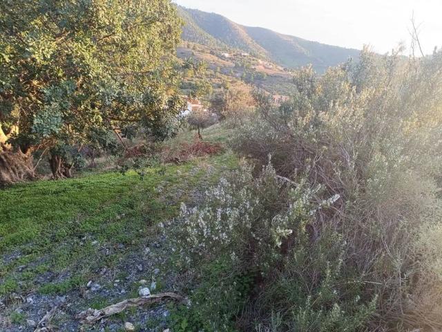 Terreno en Venta en Motril