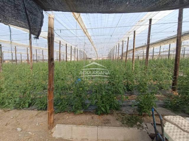 Terreno en Venta en Motril