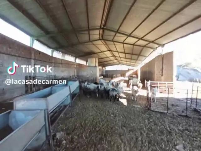 Terreno en Venta en Motril